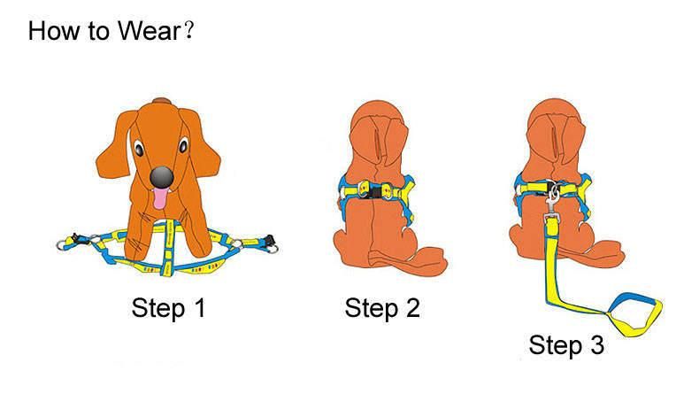 New Design High Quality Polyester New Dog Harness and Leash Set for Walking Dog
