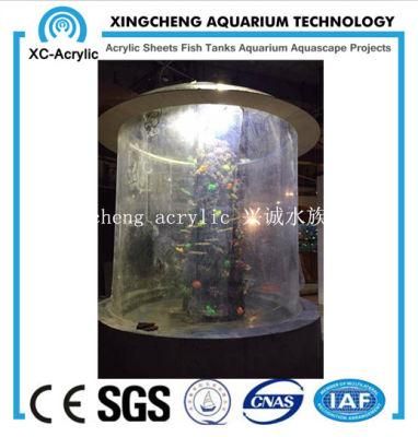 Customized Transparent Acrylic Material Acrylic Seal Tank