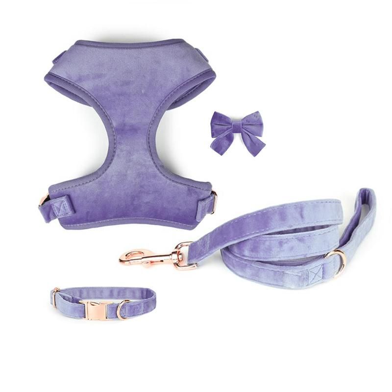 Luxury Fashionable Durable Adjustable Velvet Pet Harness & Lead Set with Collar Poop Bag Bow Tie Dog Harness