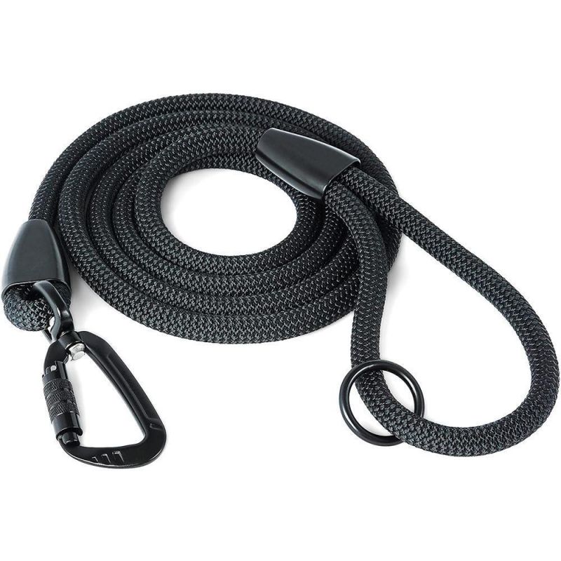 Strong Large Nylon Climbing Rope Leash with Autolocking Aviation Aluminum Carabiner Mountainside for Pets Dogs Training Running