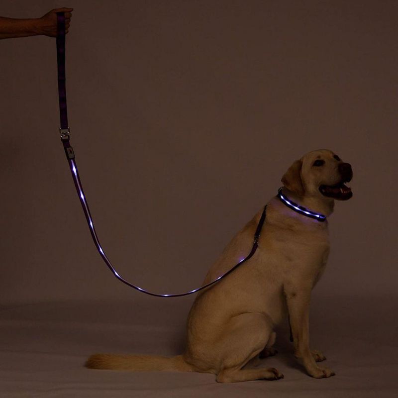 Safety LED Dog Leash - USB Rechargeable Flashing Light LED Dog Leash