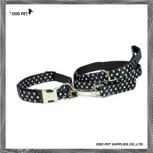 Thoughtfully Designed Nylon Dog Collar