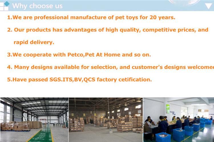 Customized Add Logo Collapsible Pet Dog Bath Pool/ Kiddie Pool Hard Plastic Foldable Bathing Tub PVC Outdoor Pools for Dogs Cat Kids