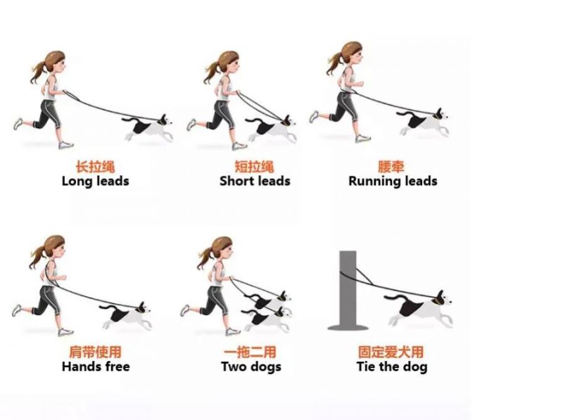 High Quality Luxury Multi Functional Double Side Two Hooks Hands Free Dog Leash Braided Pet Collar and Leads Set