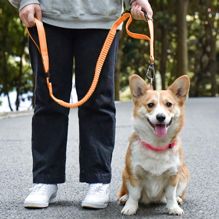Dog Leash Car Seat Belt Car Pet Retractable