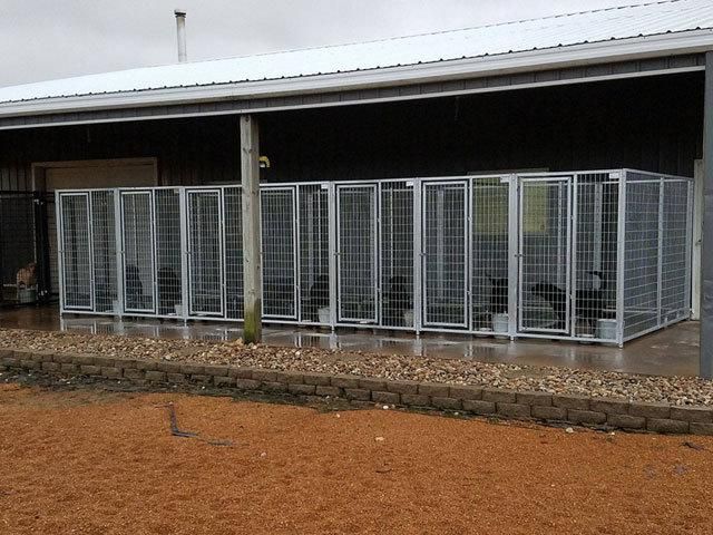 Welded Wire Dog Boarding Kennel Building