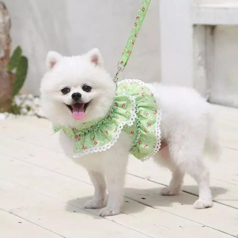 Lovely Small Flower Adjustable Portable Pet Harness and Leash Set