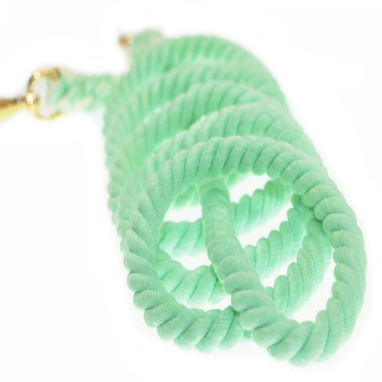 Beautiful Fashion Rope Leash Natural Ombre Colors Dog Leash