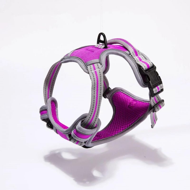 Wholesale Durable Pet Supply Colorful Pet Product Pet Dog Harness