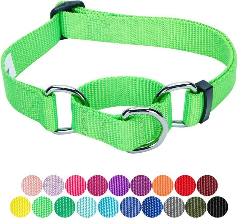 Personalized Collar Regular & Martingale Collars