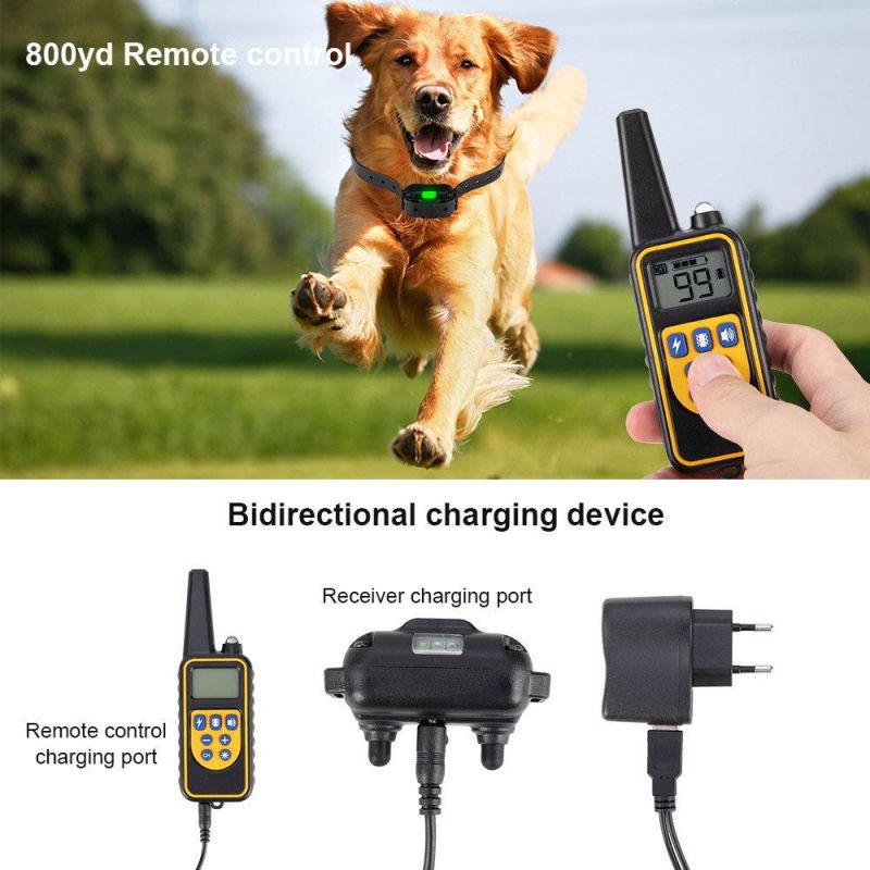 Waterproof Rechargeable 800m Electric Pet Remote Control Dog Training Collar with LCD Display