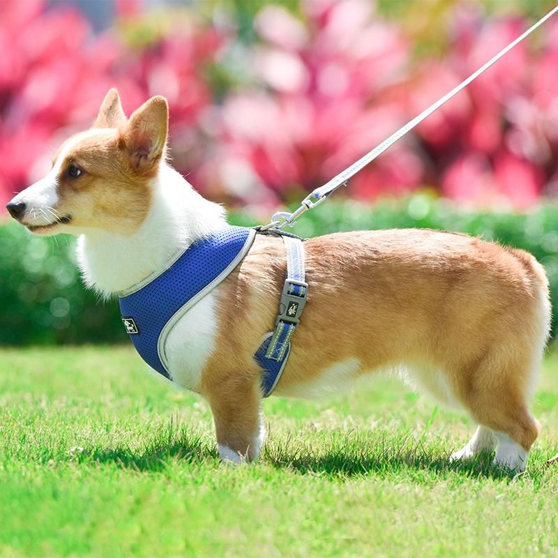 Reflective Adjustable Pet Dog Harness Leash Chest Straps Pet Products for Outdoor Pet Accessories Supply
