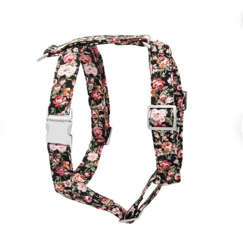 Rosie Bundle Leash Best Seller Pet Collar and Leash Set