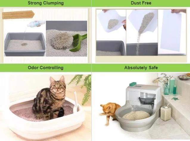 Newest Hot Buy Pet Cat Litter Manufacturer Factory Quick Clumping Cheap Price Kitty Strip Tofu Cat Litter Silica Gel Cat Litter