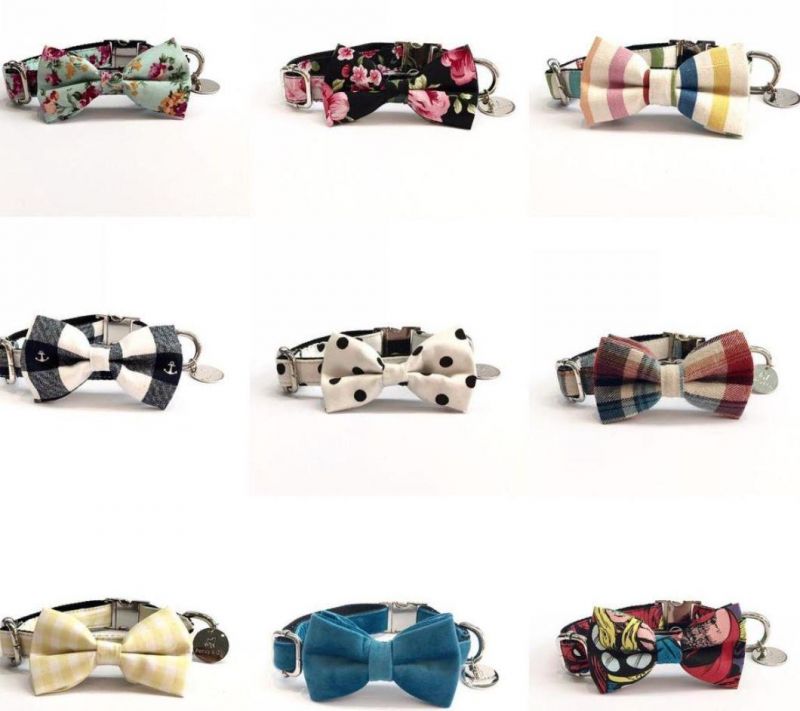 Factory Wholesales Pet Accessories Custom Vest Dog Harness Dog Leash Pet Collars Set