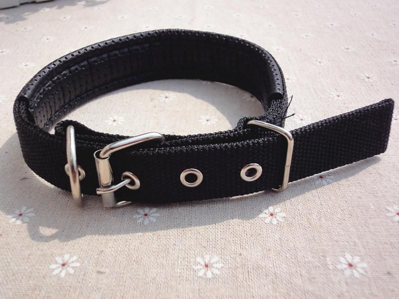 Manufacturer Wholesale Multi-Colors Printed Adjustable Nylon Cat Dog Collar
