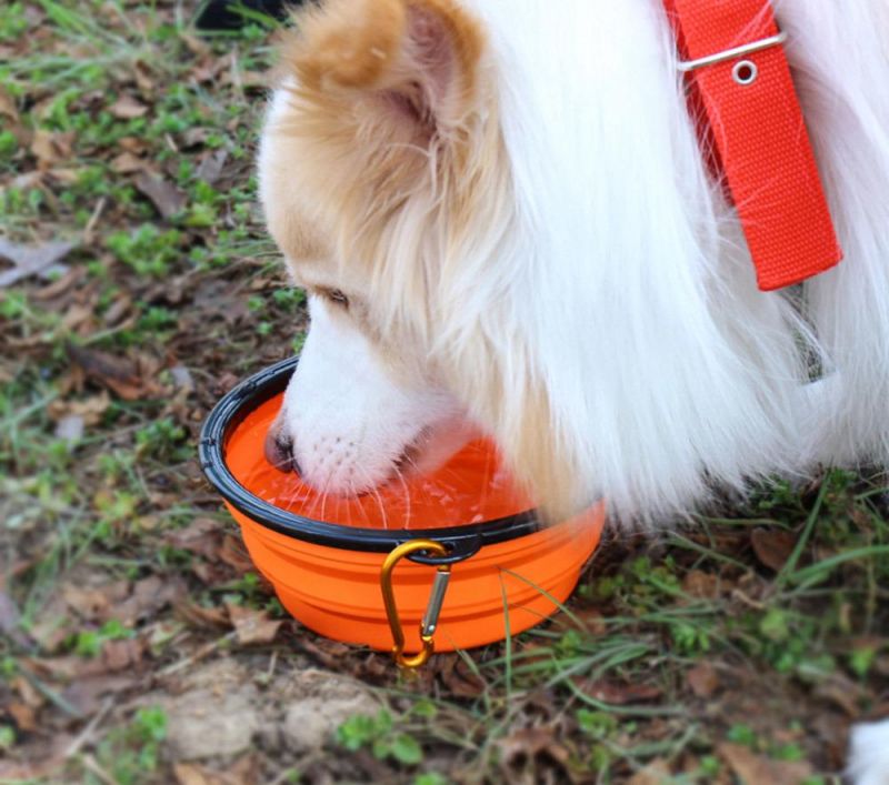 Dog Bowl, Dog Cat Pet Travel Bowl Silicone Collapsible Feeding Bowl