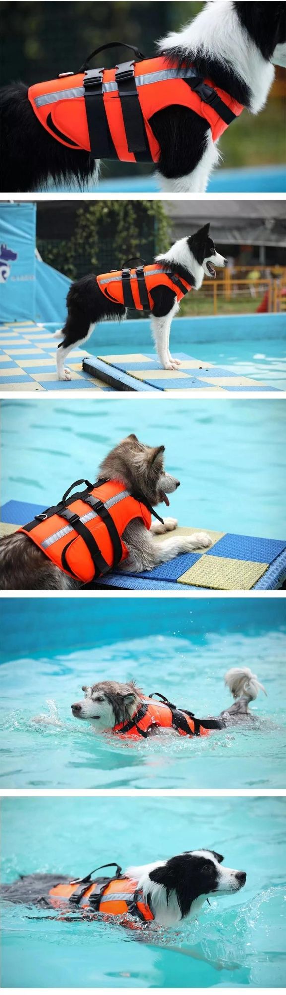 Pet Supplies Dog Life Jacket Swimsuit Pet Chest Strap Leash Outdoor Dog Swimsuit Apparel and Accessories