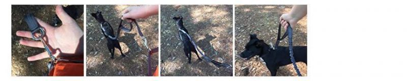 Hot Sell Wholesale Double Handle Padded Dog Leash with High Quality and Cheap Price