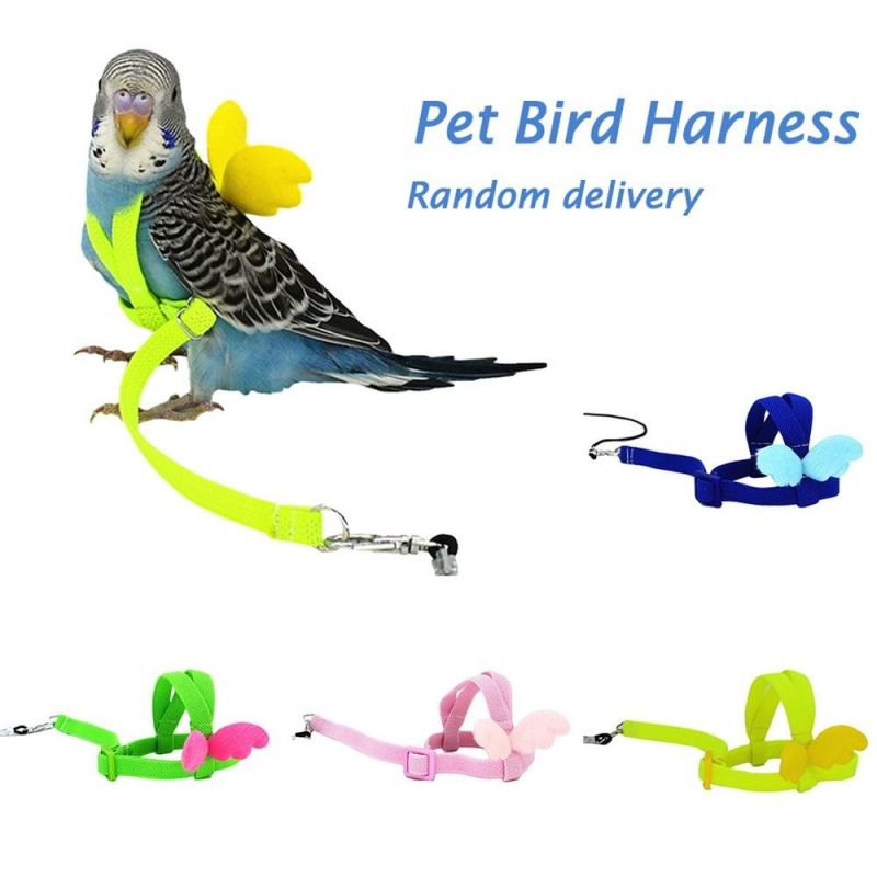 Adjustable Harness Leash Kit for Small Birds