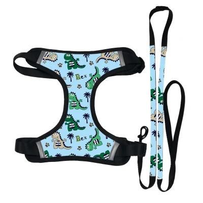 Dog Harness and Leash Set Personalized Pet Harness Bow-Knot Design Cute Factory Soft Mesh for Dogs Polyester All Seasons