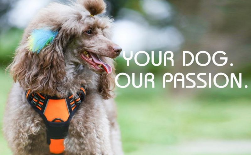 Adjustable Outdoor Pet Vest Pet Harness