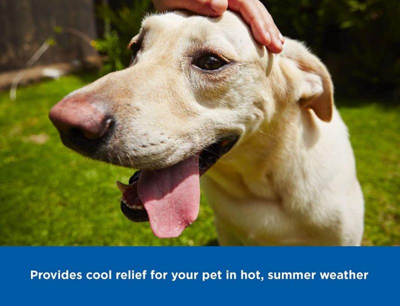 Cooling Mat for Dogs Large Size Cool Pad
