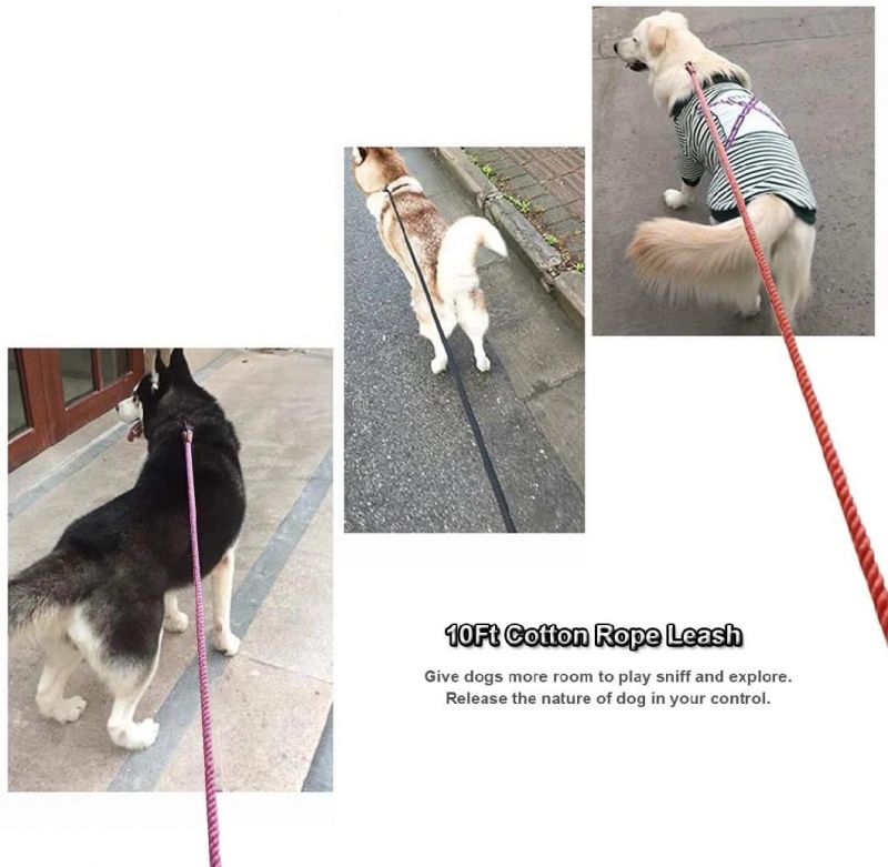 Strong Durable Cotton Rope Dog Leash with Competitive Price