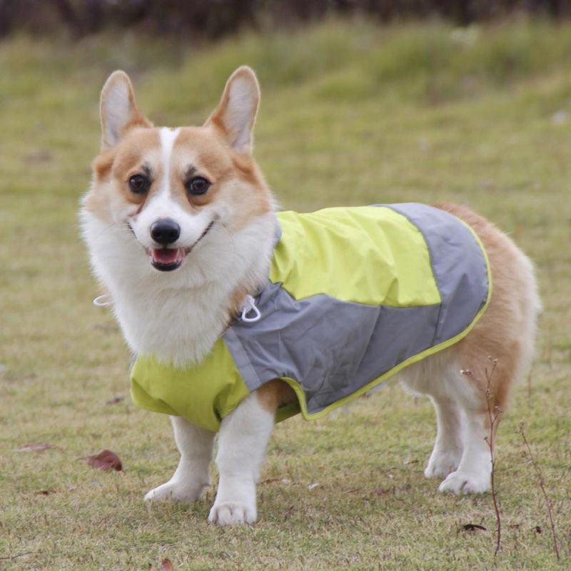 Fashion Pet Accessories Clothing Big Dog Clothes Four with Hood Legged Waterproof Dog Raincoat