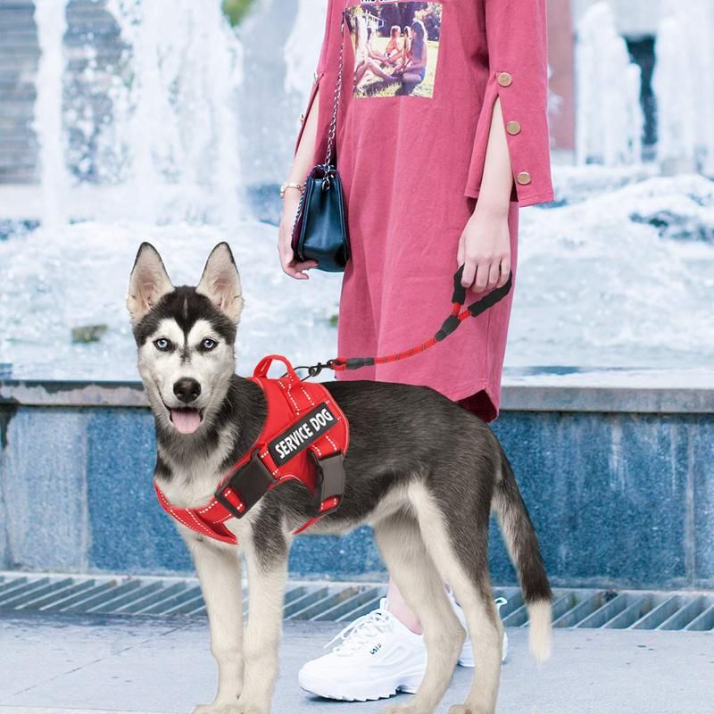 High Quality Outdoor Reflective Adjustable Mesh Oxford No Pull Custom Dog Harness