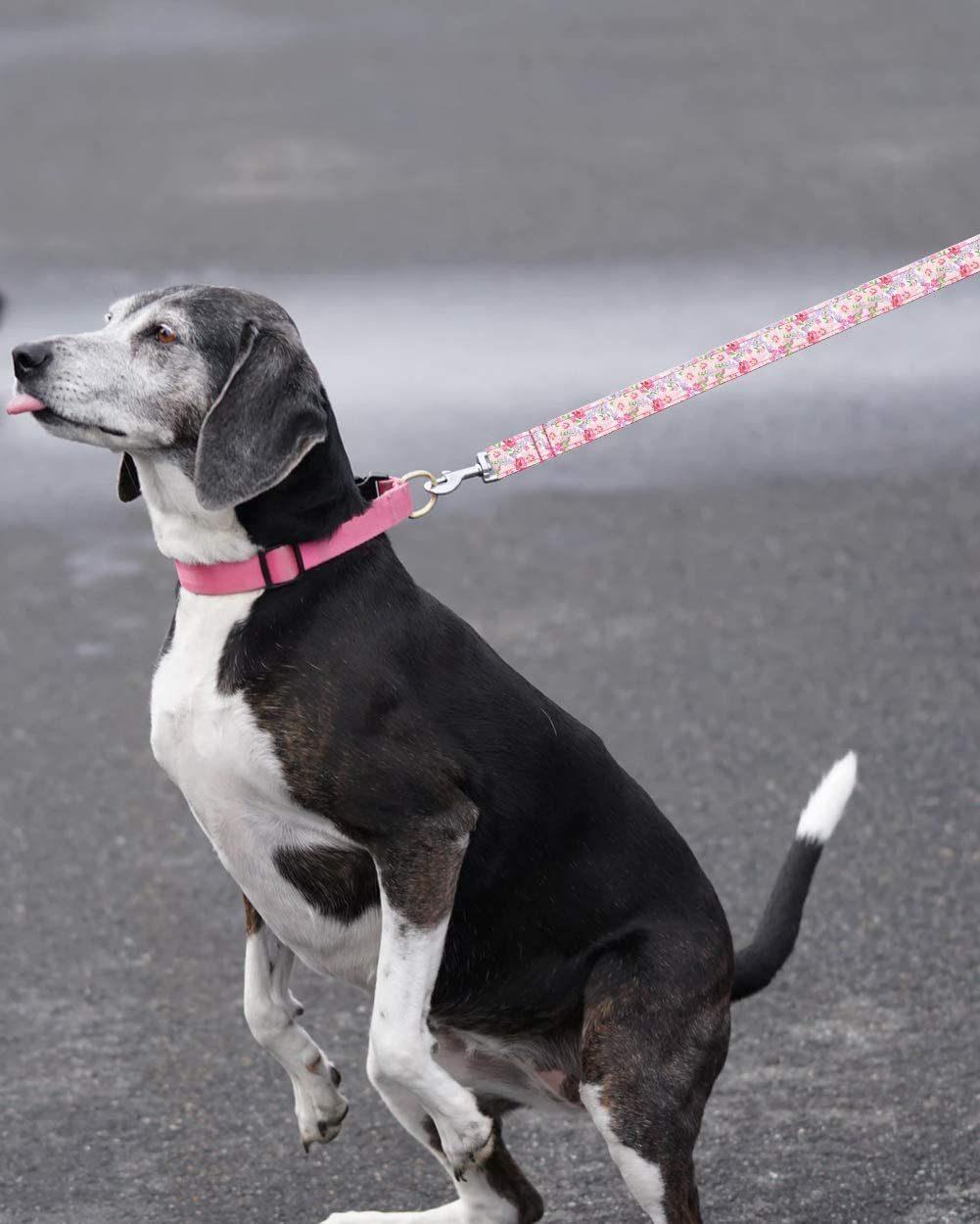Super Adorable Prints Heavy Duty Dog Leash, Strong Western Leashes