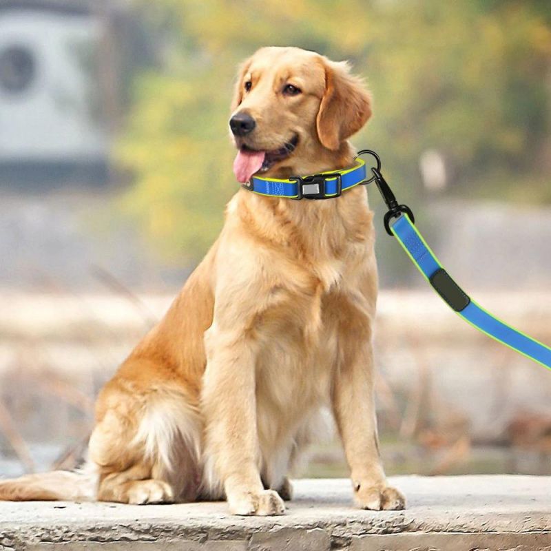 Waterproof Personalized Pet Dog Collar and Leash Set for Small, Medium, Large Dogs