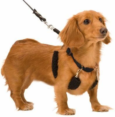 Easy Step-in No-Choke Training Dog Collar Halter with Detachable Restraints