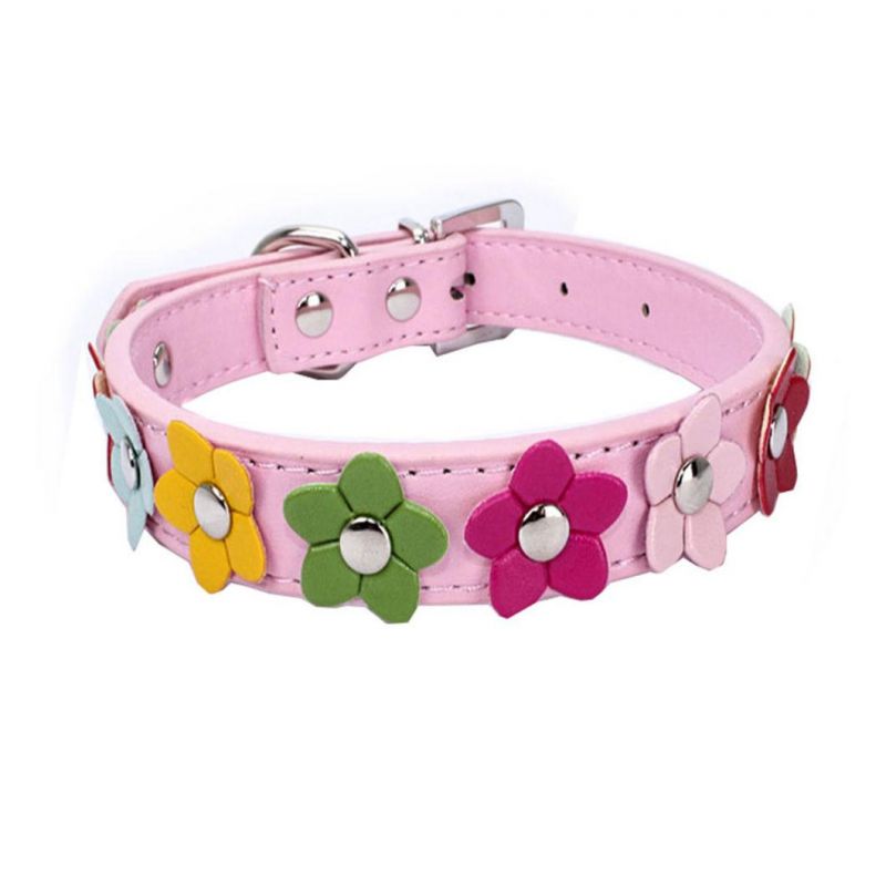 Charming Dog Collar with Beautiful Flowers Design