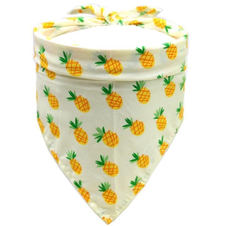 Multiple Pattern Summer Fruit Dog Bandana with Fast Delivery