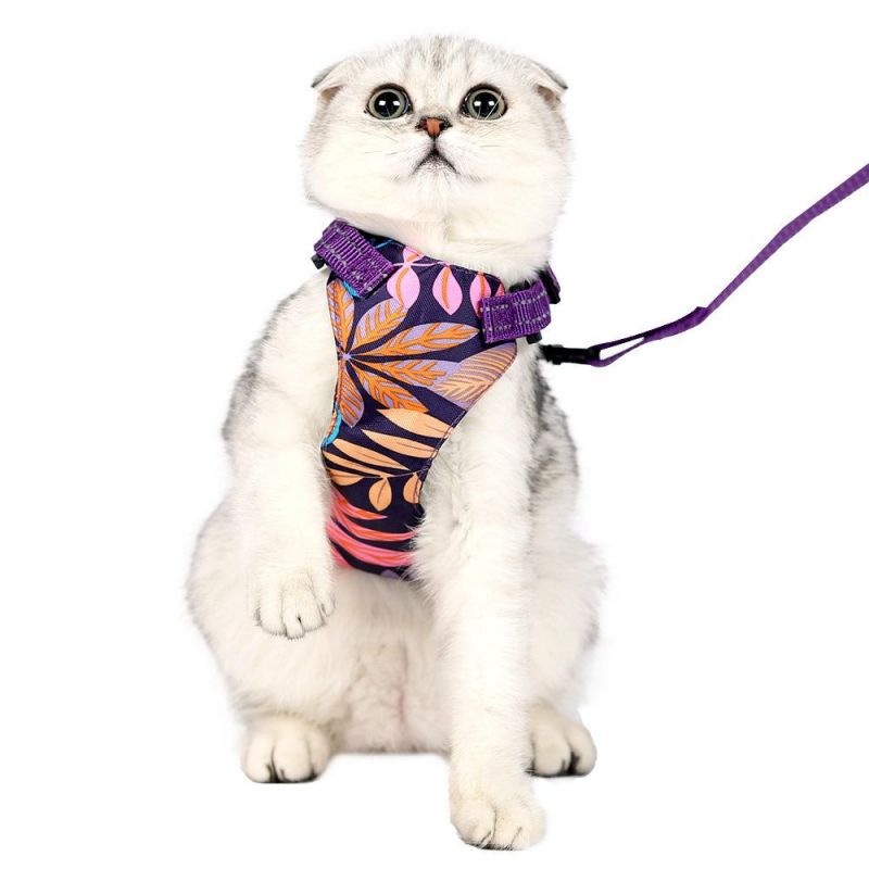 Wholesale Pet Harness Security Safety Engine Wiring Adjustable Cat Costume Dog Harness and Leash