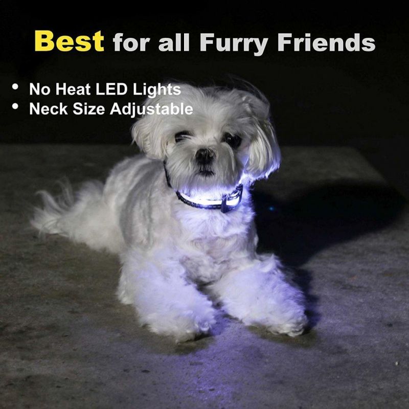 Wholesale Nylon LED Flashing Safety Dog Collar Light Pet Collar