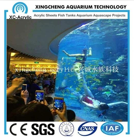 Transparent Round Acrylic Aquarium Restaurant Project