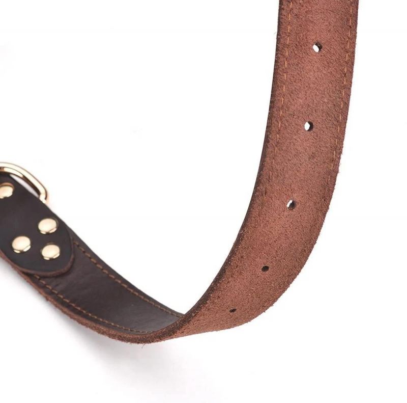 Heavy Duty 350lb Pull Power Leather Dog Collar