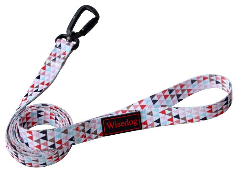 Ajustable Fashion Pattern Nylon Dog Collar and Leash