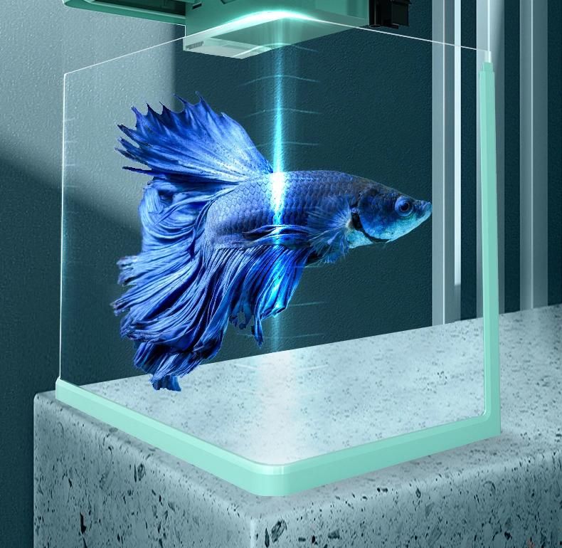 Yee Factory Wholesale Aquarium Super White Fish Tank Acrylic Glass Fish Tank