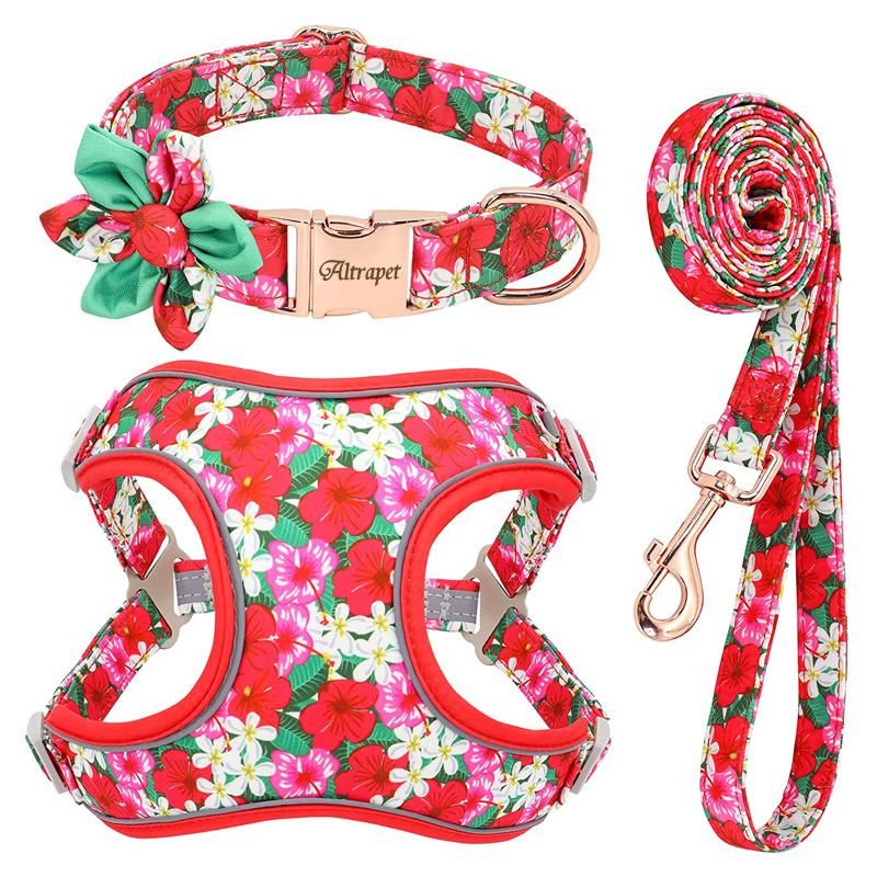 Personalised Custom Logo Adjustable Printed Dog Collar Leash and Harness