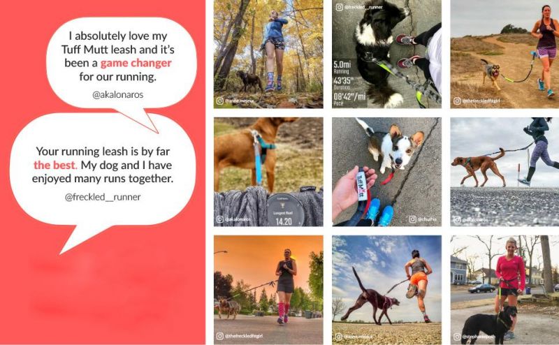 Hands Free Dog Leash for Running, Walking, Hiking Durable Dual-Handle Bungee Leash