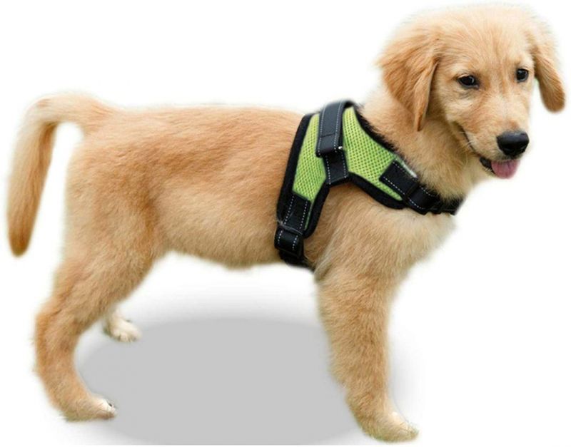 No Pull Mesh Pet Harness with Extra Handle on Top