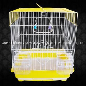 Shanghai Stacked Bird and Bird Cage/Housewith Divider Sales in Ghana