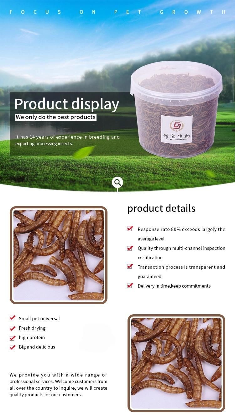 Dried Mealworms for Pet Feed/Poultry Feed/Animal Feed High Protein Content