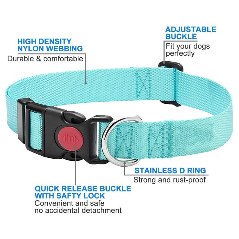 Custom Adjustable Nylon Dog Collar and Braided Rope Leash Set
