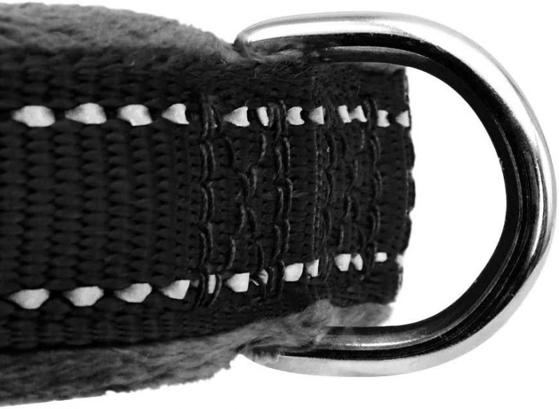 Soft Padded Personalized Dog Collar