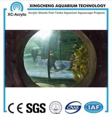 Customized Large Transparent Acrylic Fish Jar Project Price