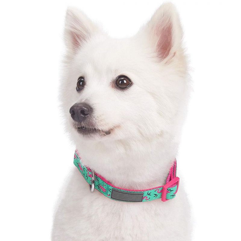 Statement Collection Dog Collars with Awesome Small Animal Prints